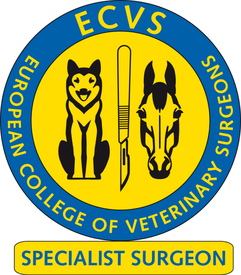 Logo ECVS